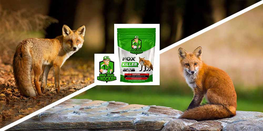 Tražite inovativno rješenje za udaljavanje lisica i zaštitu svog staništa?